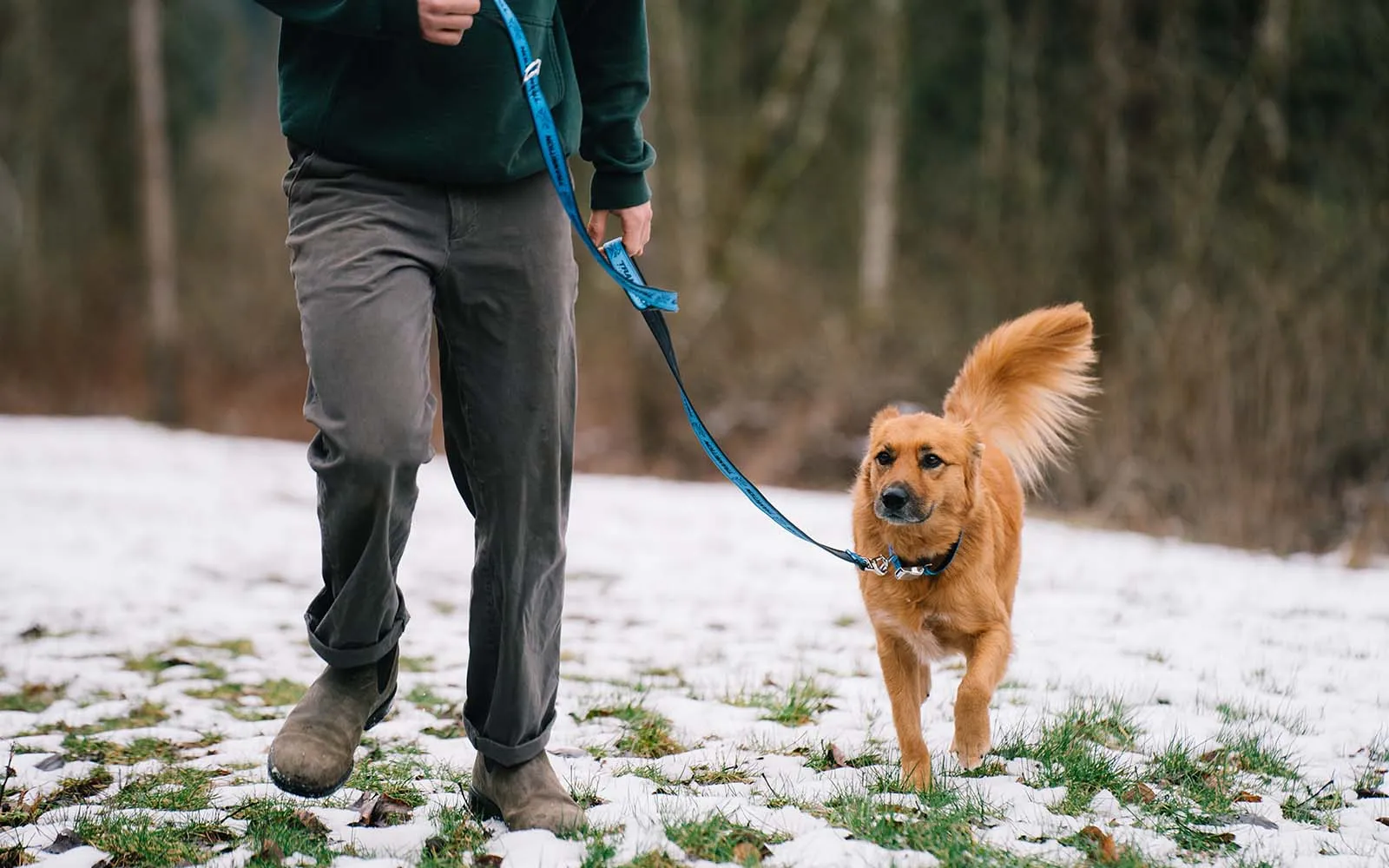 Transition Dog Leash Roller Dawg Blue