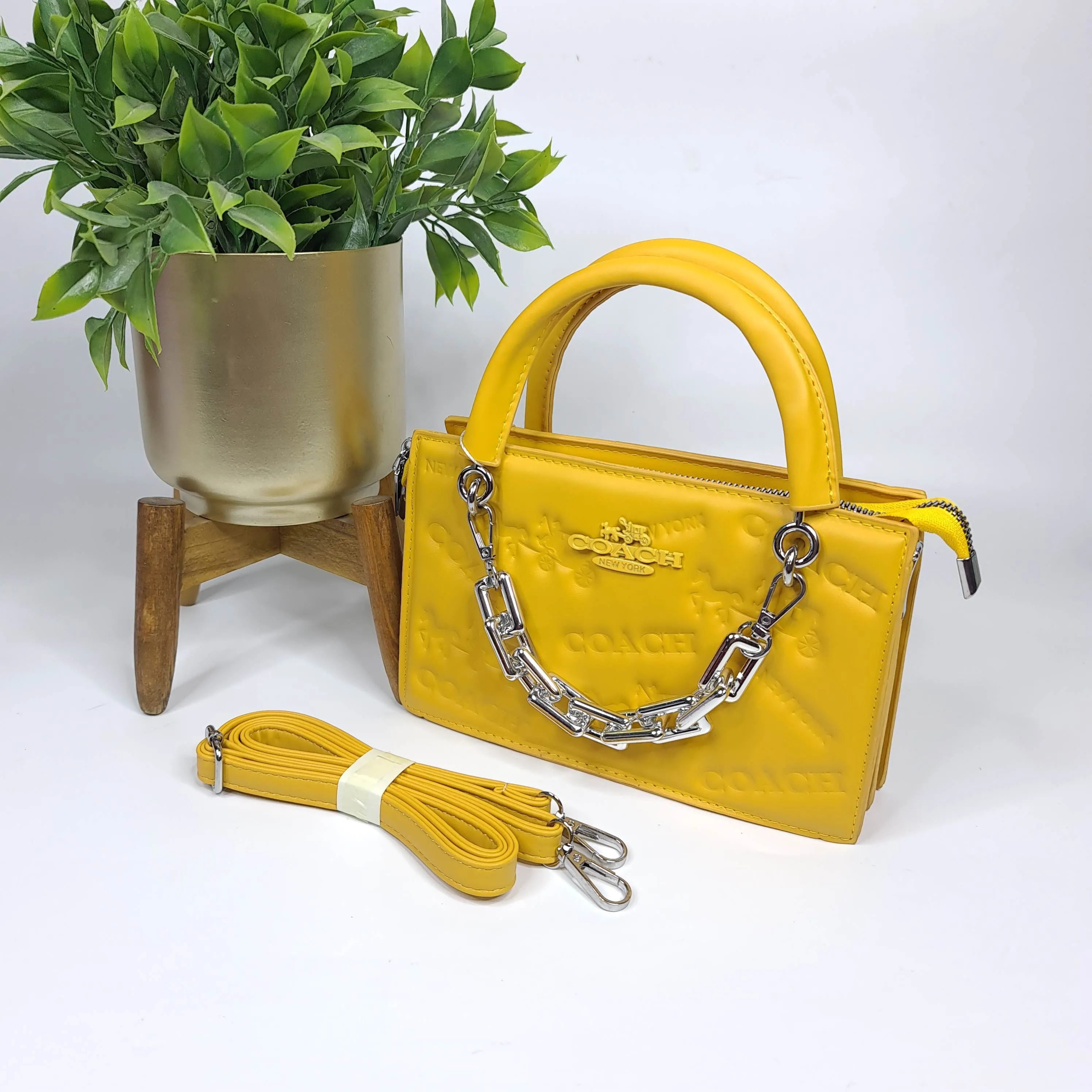 Women Chain Handbags